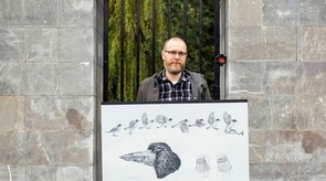 Peter Nash