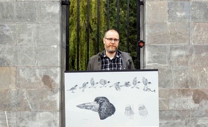 Peter Nash