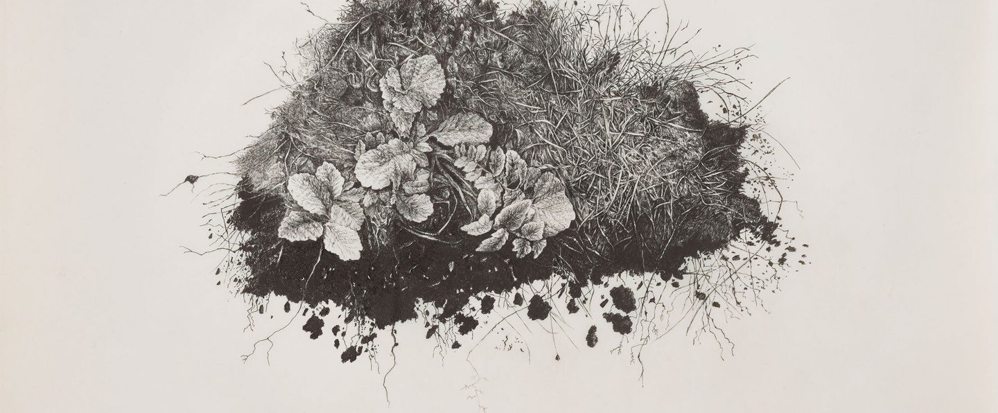 Miriam De Burca, Anatomy of Chaos III Forensics as Memorial, UCC Art Collection