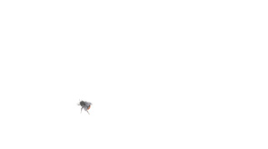 Amber Broughton, Red Tailed Bumblebee, Drawing, 2022, 77.5cm x 73cm, University College Cork Art Collection. 