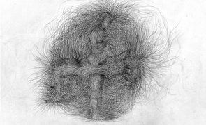 Alice Maher Music Of Things 6 Etching 53X53 Cm 2009 Ucc Art Collection