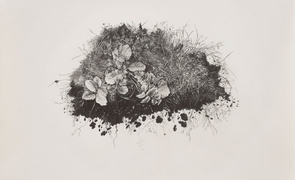 Miriam De Burca, Anatomy of Chaos III Forensics as Memorial, UCC Art Collection