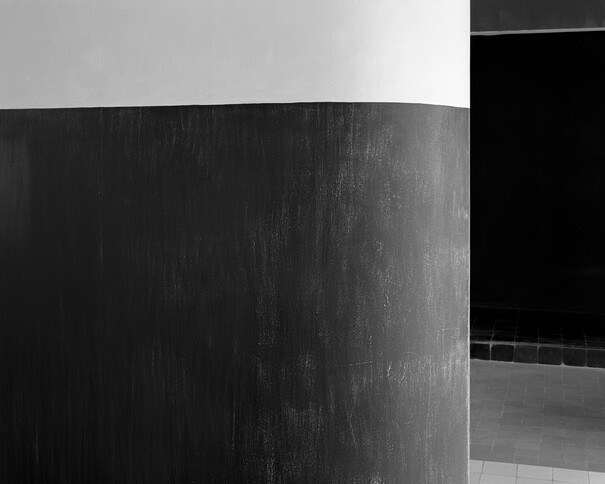 Roseanne Lynch Untitled [E 1027 4], 2015