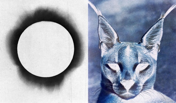 Padraig Spillane, From Altered Light, 2020, Courtesy of the UCC Art Collection