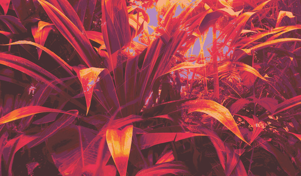 Emma O' Hara, Sunstreams, 2020, courtesy of the UCC Art Collection