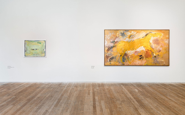 Basil Blackshaw, Horse, and Patrick Collins, Pool On The Mountain, Gallery 1 Installation View UCC Art Collection Selected Works Exhibition