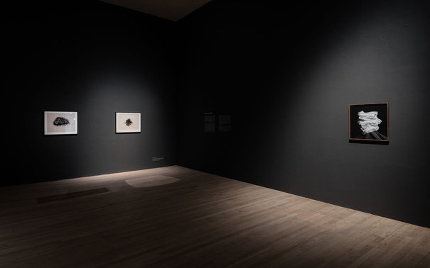 Miriam De Burca, Amelia Stein