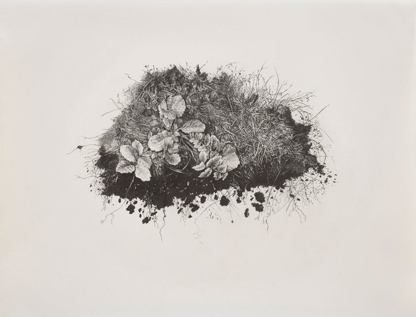 Miriam De Burca, Anatomy of Chaos III Forensics as Memorial, UCC Art Collection