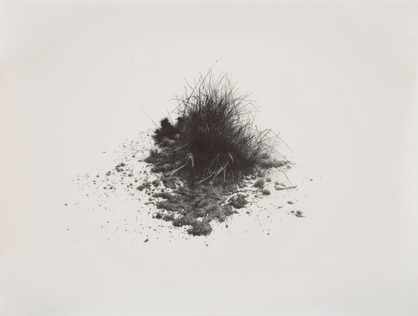 Miriam De Burca, Anatony of Chaos IV Amnesia Sampled Hi