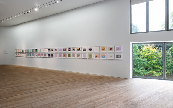 Aideen Barry, Moncopsis Drawings, Gallery 1 Installation View, UCC Art Collection Selected Works Exhibition