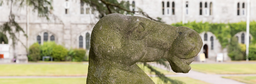 Banner Michael Quane