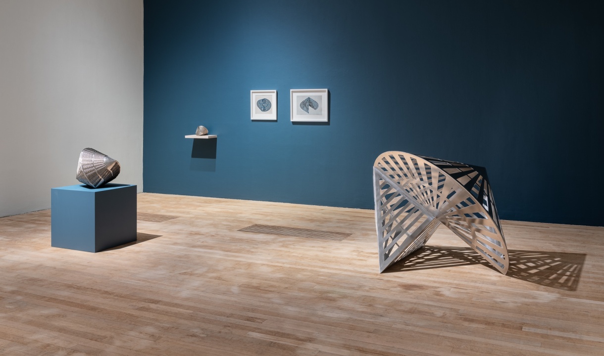 Installation of Eilis O'Connell: HAPPENSTANCE. Artworks pictured (left to right): Carapace Maquettes, 2003. Carapace Structure, 1999 and Quarter Drop Cone Structure, 2020. Quarter Drop Cone, 2018. Photo by Jed Niezgoda.