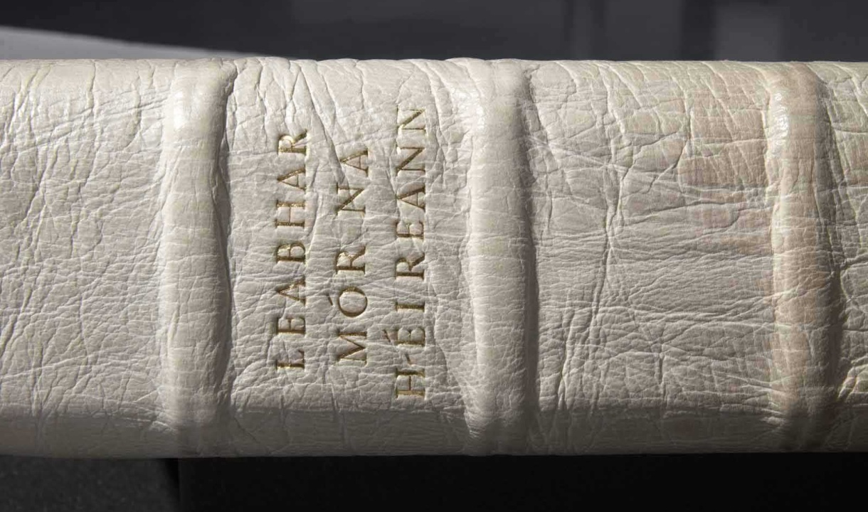 Detail of the spine of The Great Book, © University College Cork