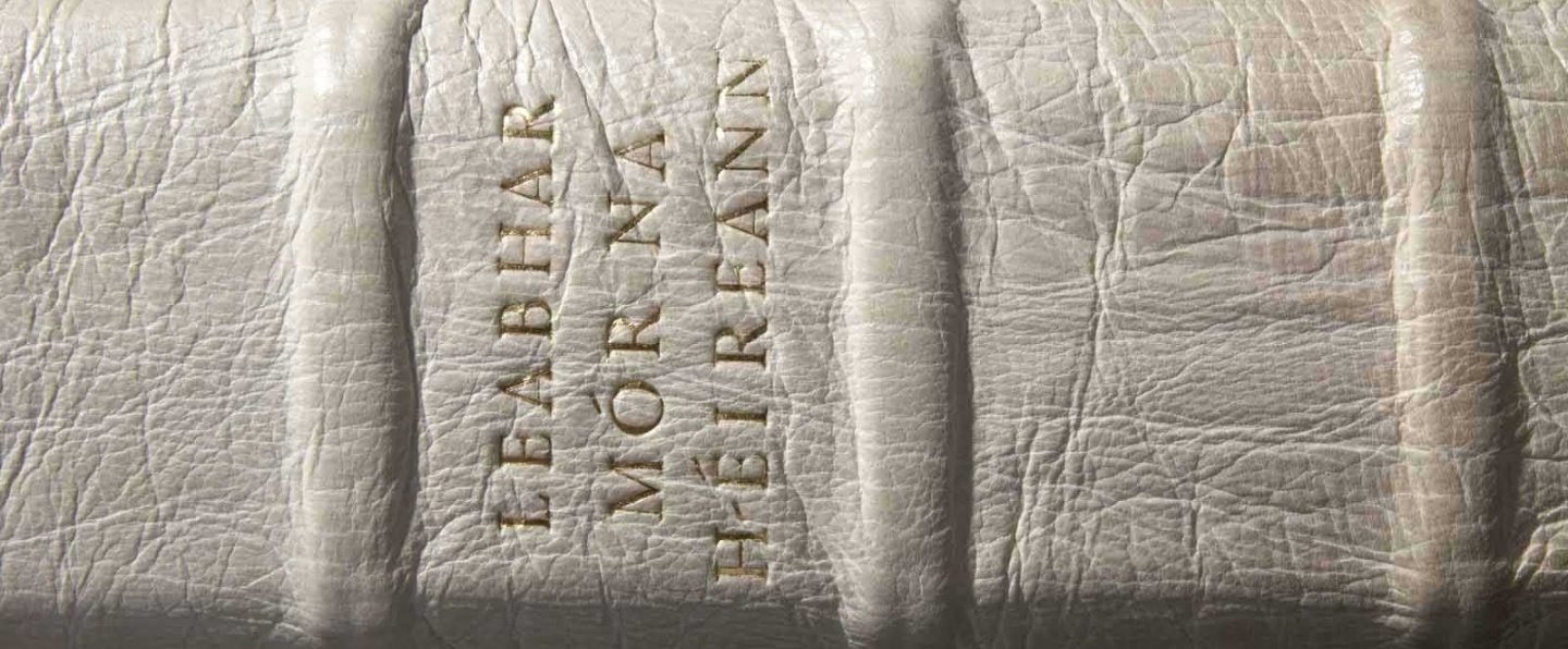 Detail of the spine of The Great Book, © University College Cork