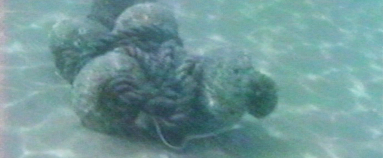 Marcel Dinahet, Dinard (video still detail), 1992