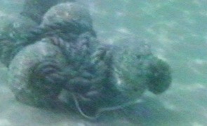 Marcel Dinahet, Dinard (video still detail), 1992