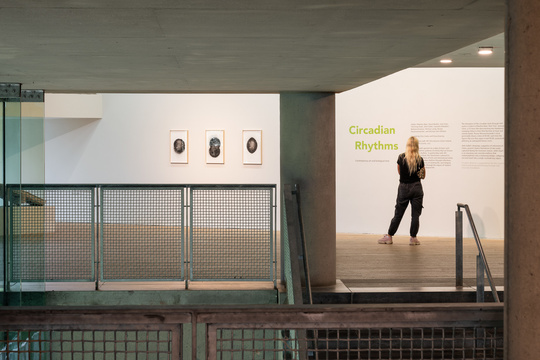 Installation view Gallery 1, Circadian Rhythms