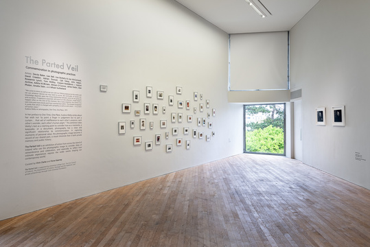 1. Installation view, Gallery 2, The Parted Veil: Tom Molloy, Roseanne Lynch