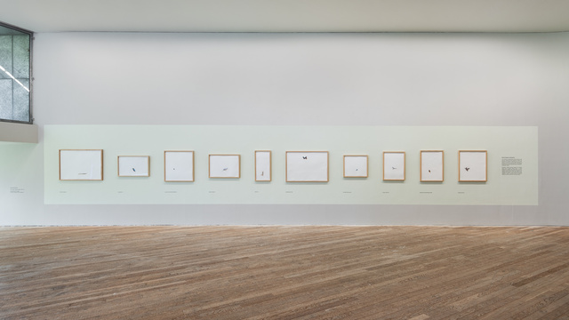 Amber Broughton, Green Campus, 2021, UCC Art Collection