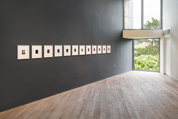 Sean Hanrahan, Q, 2021-22, UCC art collection