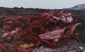 Samuel Laurence Cunnane Rags 2017 Hand Printed C Type Print On Archival Photo Paper Framed Courtesy Of Kerlin Gallery Dublin