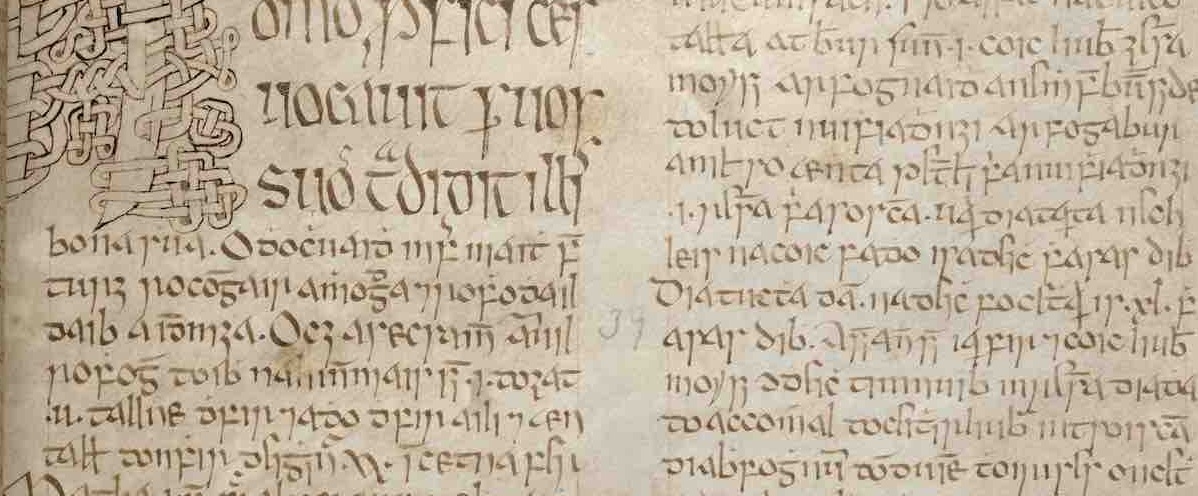 UCC Book of Lismore, detail