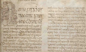 UCC Book of Lismore, detail