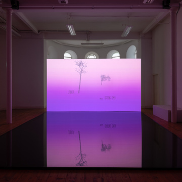 Kristina Inčiūraitė, Under The Same Sky, 2022, installation view 2, St. Lukes Crypt,  photo Jed Niezgoda, courtesy the Glucksman,