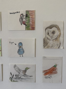 Seeds Of Change Creative Responses1