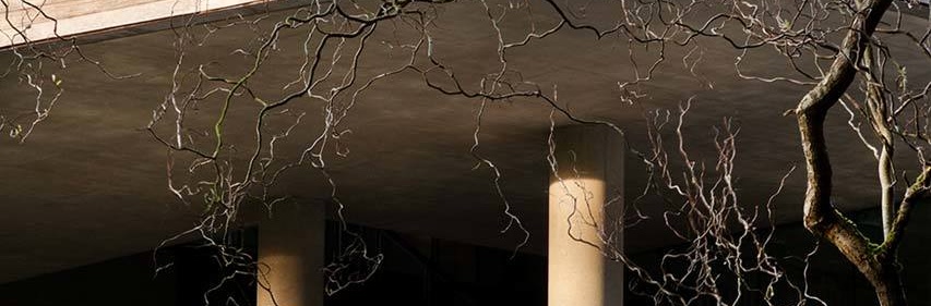 Architecture Glucksman