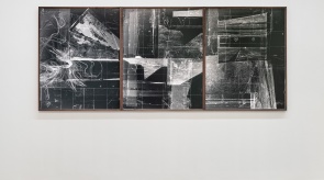 Caitríona Leahy, Critical Zone Bog Study I, II & III, 2020.