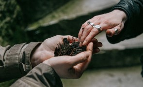 Jedniezgoda com Glucksman Peist 01 High Res