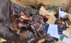 Soil Savers