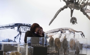 CMK15112025 Domain of the Dinosaurs Glucksman 006