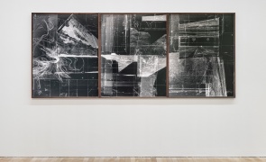 Caitríona Leahy, Critical Zone Bog Study I, II & III, 2020.