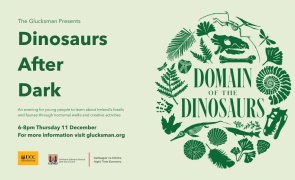 The Glucksman Presents 1440 x 596 px 1