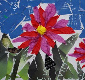 Roots and Reflections