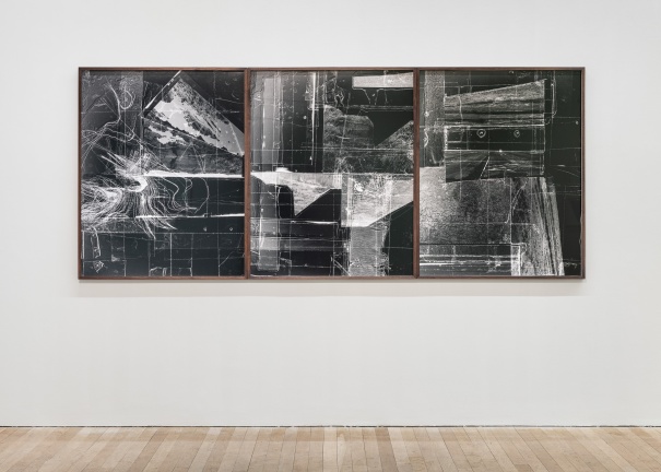 Caitríona Leahy, Critical Zone Bog Study I, II & III, 2020.