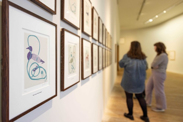 Garrett Phelan, The Hide Suite, Groundwork exhibition, 2024. Photo by Cathal Noonan.