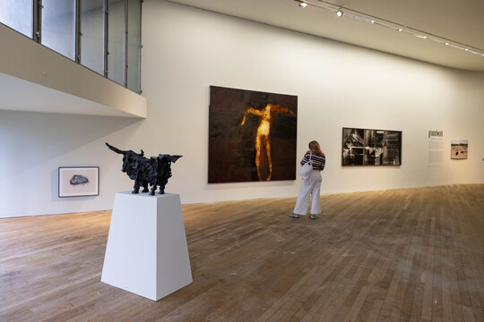 Installation view of Groundwork, 2024. Photo by Cathal Noonan.