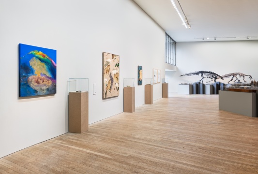 Tom Climent, Cambrian 2025. Damien Flood, Antecedent, 2025. Emma O'Hara, What's been set in stone, 2025. Johanna Connor, The Glucksman, 2025, Gigantoproductus, 2025. Domain of the Dinosaurs 2025