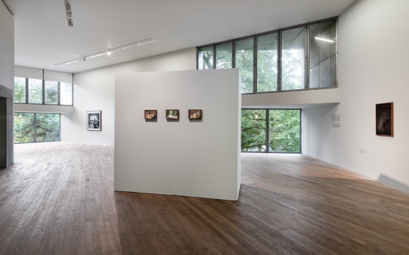 UCC Art collection Selected works exhibition installation 2020. Photo by Jed Niezgoda.